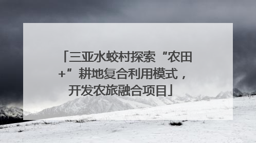 三亚水蛟村探索“农田+”耕地复合利用模式，开发农旅融合项目