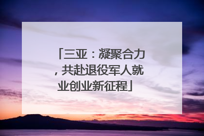 三亚：凝聚合力，共赴退役军人就业创业新征程