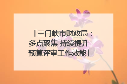 三门峡市财政局：多点聚焦 持续提升预算评审工作效能