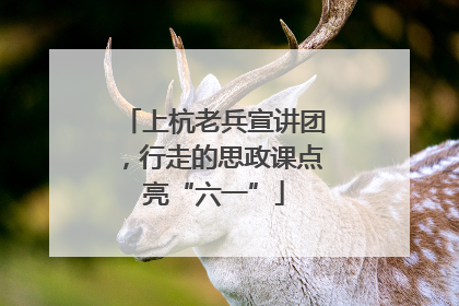 上杭老兵宣讲团，行走的思政课点亮“六一”