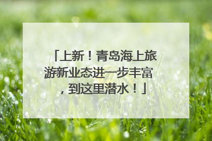 上新！青岛海上旅游新业态进一步丰富，到这里潜水！