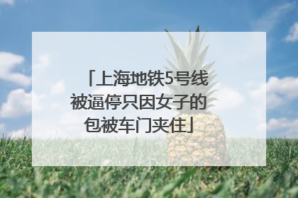 上海地铁5号线被逼停只因女子的包被车门夹住