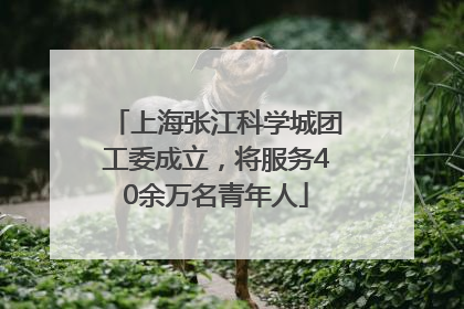 上海张江科学城团工委成立，将服务40余万名青年人