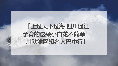 上过天下过海 四川通江孕育的这朵小白花不简单｜川陕渝网络名人巴中行