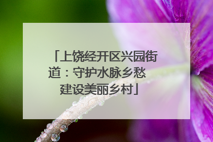 上饶经开区兴园街道：守护水脉乡愁 建设美丽乡村