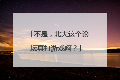 不是，北大这个论坛真打游戏啊？