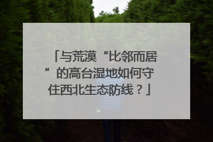 与荒漠“比邻而居”的高台湿地如何守住西北生态防线？