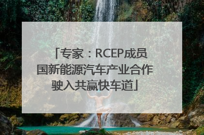 专家：RCEP成员国新能源汽车产业合作驶入共赢快车道