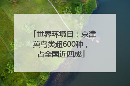 世界环境日：京津冀鸟类超600种，占全国近四成