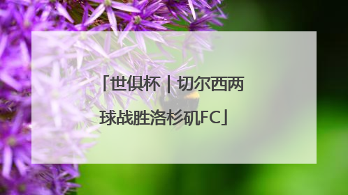 世俱杯｜切尔西两球战胜洛杉矶FC