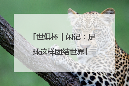 世俱杯｜闲记：足球这样团结世界