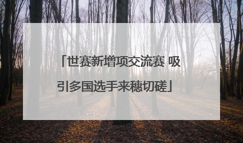 世赛新增项交流赛 吸引多国选手来穗切磋