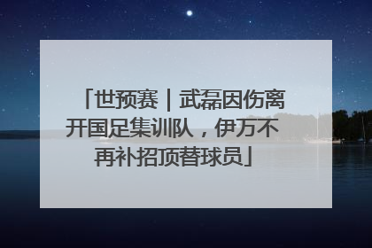 世预赛｜武磊因伤离开国足集训队，伊万不再补招顶替球员