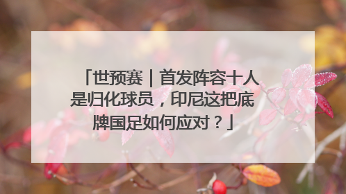 世预赛｜首发阵容十人是归化球员，印尼这把底牌国足如何应对？