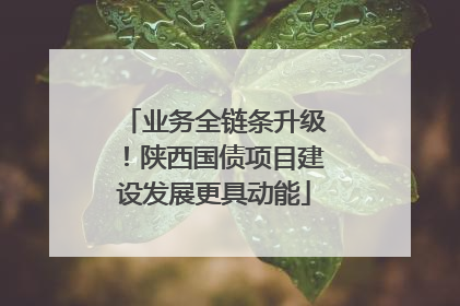 业务全链条升级！陕西国债项目建设发展更具动能
