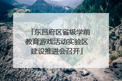 东昌府区省级学前教育游戏活动实验区建设推进会召开