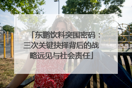 东鹏饮料突围密码：三次关键抉择背后的战略远见与社会责任