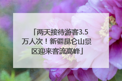 两天接待游客3.5万人次！新疆昆仑山景区迎来客流高峰