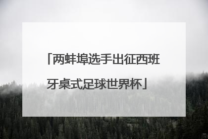 两蚌埠选手出征西班牙桌式足球世界杯