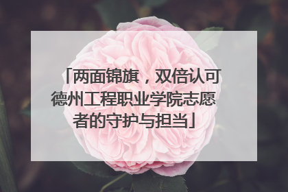 两面锦旗，双倍认可德州工程职业学院志愿者的守护与担当