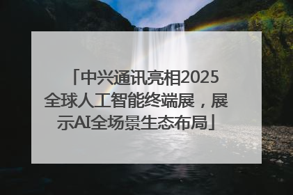 中兴通讯亮相2025全球人工智能终端展，展示AI全场景生态布局