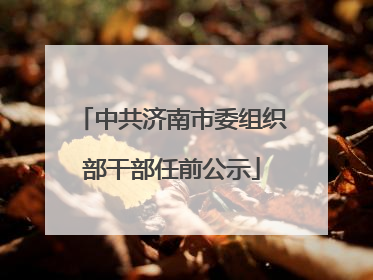 中共济南市委组织部干部任前公示