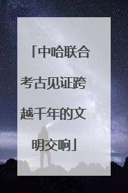 中哈联合考古见证跨越千年的文明交响