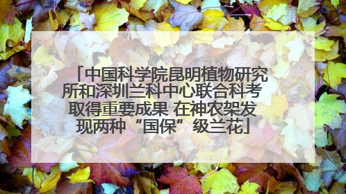 中国科学院昆明植物研究所和深圳兰科中心联合科考取得重要成果 在神农架发现两种“国保”级兰花