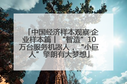 中国经济样本观察·企业样本篇丨“智造”10万台服务机器人，“小巨人”擎朗有大梦想