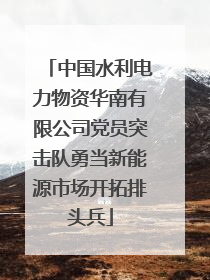 中国水利电力物资华南有限公司党员突击队勇当新能源市场开拓排头兵
