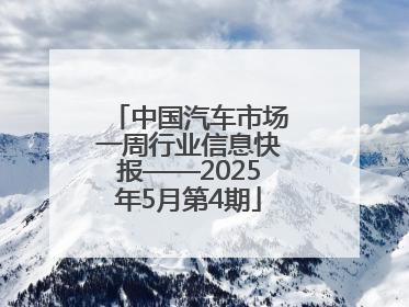 中国汽车市场一周行业信息快报——2025年5月第4期