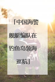 中国海警舰艇编队在钓鱼岛领海巡航