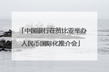 中国银行在赞比亚举办人民币国际化推介会