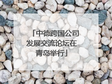 中德跨国公司发展交流论坛在青岛举行