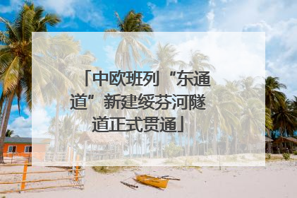 中欧班列“东通道”新建绥芬河隧道正式贯通