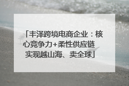 丰泽跨境电商企业：核心竞争力+柔性供应链 实现越山海、卖全球