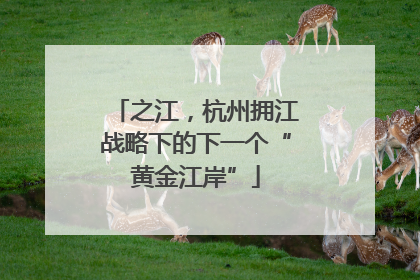 之江，杭州拥江战略下的下一个“黄金江岸”
