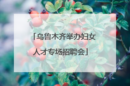 乌鲁木齐举办妇女人才专场招聘会