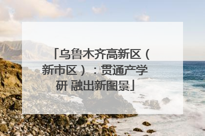 乌鲁木齐高新区（新市区）：贯通产学研 融出新图景