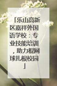 乐山高新区嘉祥外国语学校：专业技能培训，助力棍网球扎根校园