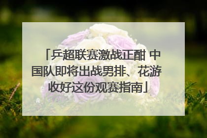 乒超联赛激战正酣 中国队即将出战男排、花游 收好这份观赛指南