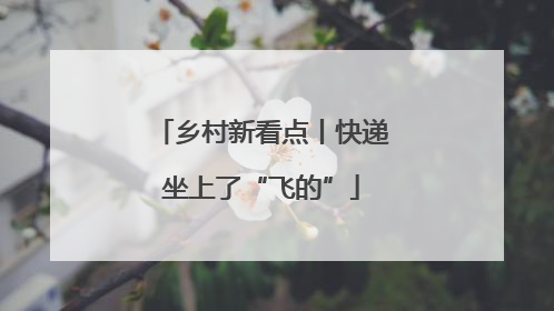 乡村新看点丨快递坐上了“飞的”