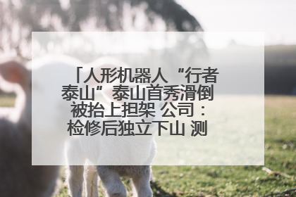 人形机器人“行者泰山”泰山首秀滑倒被抬上担架 公司：检修后独立下山 测试就是为暴露问题