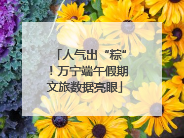 人气出“粽”！万宁端午假期文旅数据亮眼