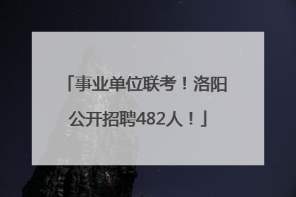 事业单位联考！洛阳公开招聘482人！