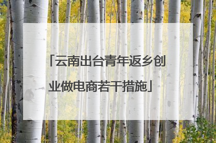 云南出台青年返乡创业做电商若干措施