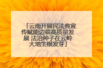 云南开展民法典宣传赋能边疆高质量发展 法治种子在云岭大地生根发芽