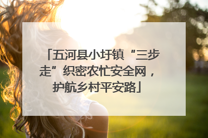 五河县小圩镇“三步走”织密农忙安全网，护航乡村平安路