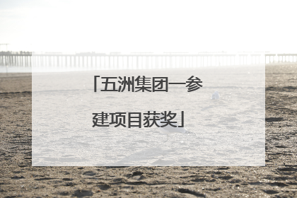 五洲集团一参建项目获奖