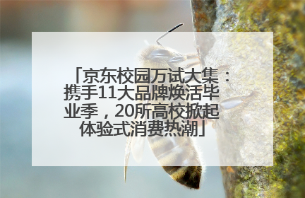 京东校园万试大集：携手11大品牌焕活毕业季，20所高校掀起体验式消费热潮